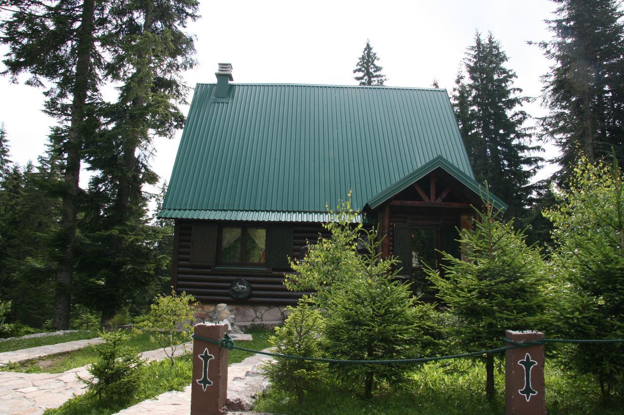Durmitor Chalet Zabljak  Exterior photo