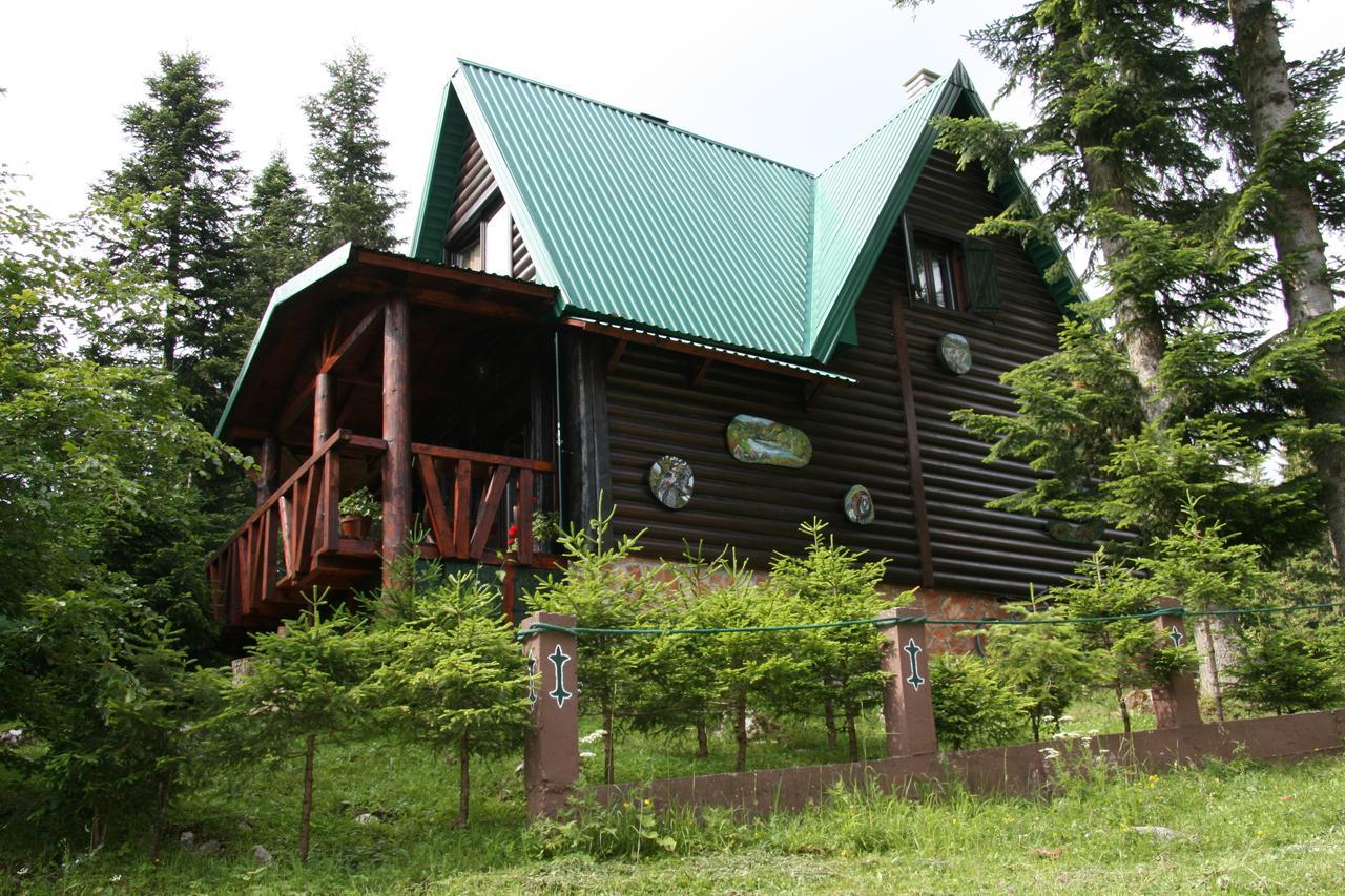 Durmitor Chalet Zabljak  Exterior photo